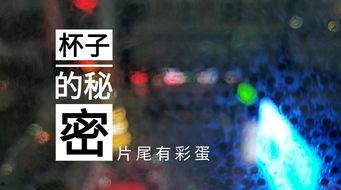 葫芦岛饭店爆料事件视频,事件真相揭秘 第1张 葫芦岛饭店爆料事件视频,事件真相揭秘 第1张